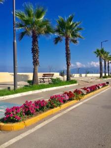 eine Straße mit Palmen, Blumen und einer Bank in der Unterkunft Appartamenti & Camere TRA SCILLA e TROPEA in San Ferdinando