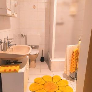 a bathroom with a sink and a toilet and a shower at Pension Stöß in Falkenstein