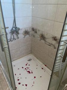 a bathroom with spiders on the floor of a shower at Riambel Paradise Inn Luxury Room in Riambel