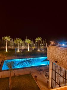 a swimming pool at night with palm trees at Dar Ayman Essaouira in Essaouira