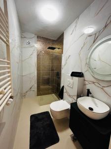 a bathroom with a toilet and a sink and a shower at Apartment Mate in Seget Vranjica