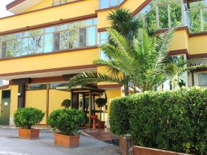 ManocalzatiにあるCristal Hotelのヤシの木が目の前に広がる黄色い建物