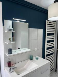 Kúpeľňa v ubytovaní Appartement T3 rénové 60m2 proche centre Colmar