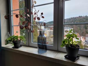 a vase sitting on a window sill with three potted plants at Zajazd Meran in Krynica Zdrój