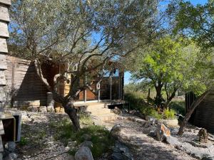 una casa con un albero di fronte di Gîte Les logis du Pech a Narbonne