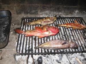 a group of fish cooking on a grill at Romantic studio apartment in Sobra