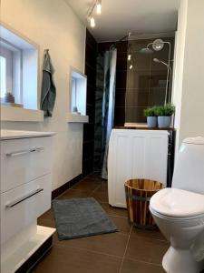 a bathroom with a toilet and a sink and a shower at Hus på 100 m2 ved skov in Hårlev