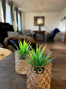 dois vasos com plantas sentados numa mesa em Hus på 100 m2 ved skov em Hårlev