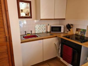 a small kitchen with a sink and a microwave at Ddol Cottage Traditional Coastal cottage nr Llangrannog & New Quay with Donkeys in Llandysul