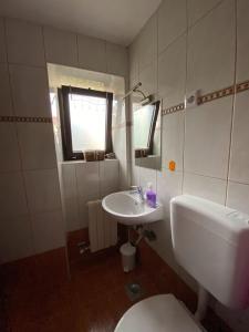 a bathroom with a white sink and a toilet at Apartman I&I in Peroj
