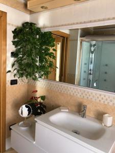 a bathroom with a sink and a mirror and a plant at Villa Trevisi - APARTMENT in Treviso +79 photos