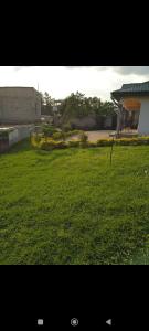 a green yard with an umbrella in the grass at Résidence le HAMEAU de BITENG in Yaoundé +23 photos