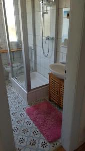a bathroom with a shower and a toilet and a sink at Ferienwohnung Alte Schule Kail in Kail