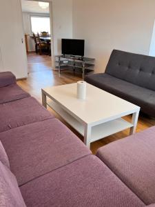Sala de estar con 2 sofás y mesa de centro en HBA Appartsments en Malmö