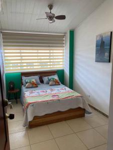 - une chambre avec un lit dans une pièce dotée d'une fenêtre dans l'établissement Casa 1090 ubicada cerca a todo., à Leticia