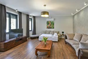 uma sala de estar com um sofá e uma televisão em Villa Garden em Eger