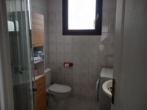 baño con aseo y lavabo y ventana en Jolie F2 à 5mn de l'aéroport d'Orly, en Paray-Vieille-Poste