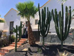 A garden outside El ron ron de Fuerte