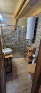a bathroom with a sink and a toilet in a room at Apartmani Prica in Crni Vrh