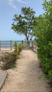 una valla de madera en una playa con un árbol en Habitación privada en la playa HappyBeach_co, en San Antero