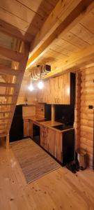 eine Küche in einem Blockhaus mit Holzwänden in der Unterkunft Apartmani Prica in Crni Vrh