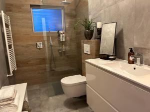 y baño con aseo, lavabo y ducha. en Art Guesthouse Olla, en Selfoss