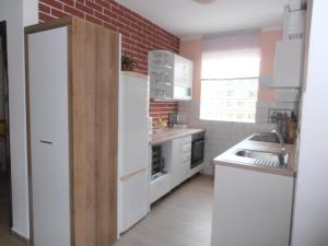 Kuchyň nebo kuchyňský kout v ubytování Apartment Steblaj