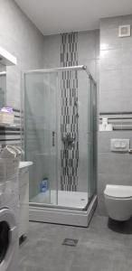 uma casa de banho com um chuveiro, um WC e uma máquina de lavar roupa em Apartman A1 em Bijeljina