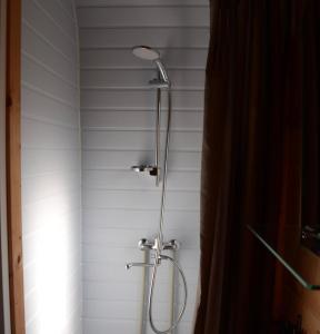 a shower with a shower head in a bathroom at Doles skati in Salaspils