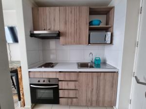 Kuchyň nebo kuchyňský kout v ubytování PYB Souper Deptos