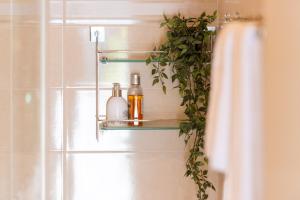 a bathroom with a shelf with soap and a plant at Luxa 5 min old town, 10 min airport in Trogir +36 photos