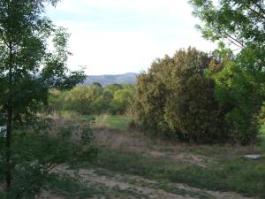 Príroda v okolí kempingu