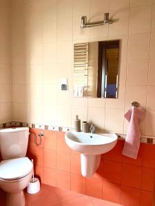 ein Bad mit einem WC und einem Waschbecken in der Unterkunft Jeziorowskie Wspomnienia in Jeziorowskie