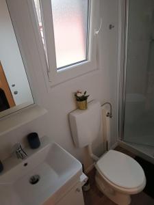 a bathroom with a toilet and a sink and a window at Ana Mobile Home - Kamp Soline - Biograd na Moru in Biograd na Moru