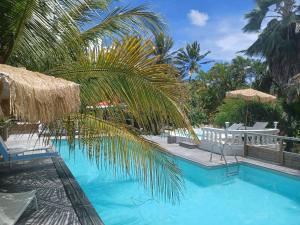 a swimming pool with chairs and a palm tree at Le grand palm gîte tobago in Les Basses