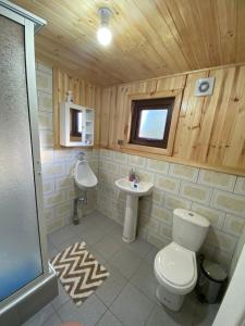 a bathroom with a toilet and a sink at Donde Jose Cabañas y Restaurant in Manzanar