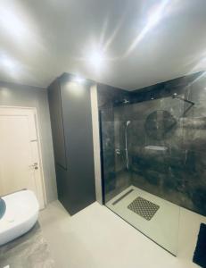 a bathroom with a shower and a toilet at Sweet Home Zadar in Zadar