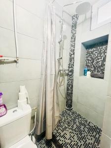 uma casa de banho com um chuveiro e um WC. em Au pied du Sacré Cœur em Paris