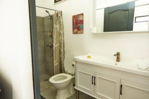een badkamer met een toilet, een wastafel en een douche bij Le dauphin de te ava iti in Matiti