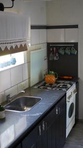una cocina con fregadero y estufa en Ranchito- casita de huespedes, en Alta Gracia