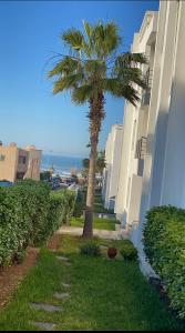 uma palmeira em frente a um edifício com o oceano em Résidence Galets Sur Mer em Dar Bouazza