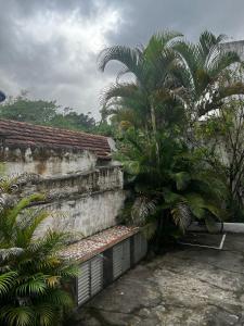 a wall with a palm tree next to a building at Cantinho do Thiê in Paqueta