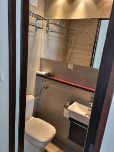 a small bathroom with a toilet and a sink at Dixy 2 in Belgrade +2 photos