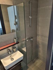 a bathroom with a sink and a shower at Dixy 2 in Belgrade