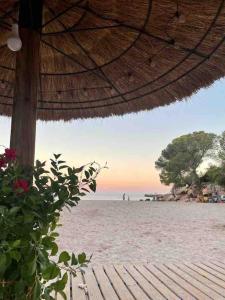 Fotografia z galérie ubytovania Apartamento con patio y Jacuzzi privado v destinácii Calafat
