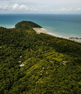 an aerial view of a forested island next to the ocean at Cape Trib Farm in Cape Tribulation