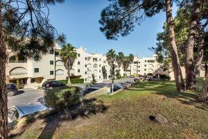 Une rangée de voitures garées dans un parking avec des palmiers dans l'établissement Casa dos Salgados, à Guia