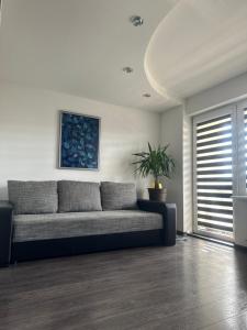 a living room with a couch and a plant at Valmiera in Valmiera