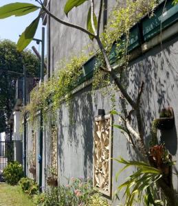 un edificio con plantas a su lado en Omah Ndanu Homestay, en Yogyakarta