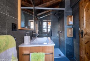 ein Bad mit einem Waschbecken und einer Dusche in der Unterkunft Haus Zer Trächu in Saas-Almagell